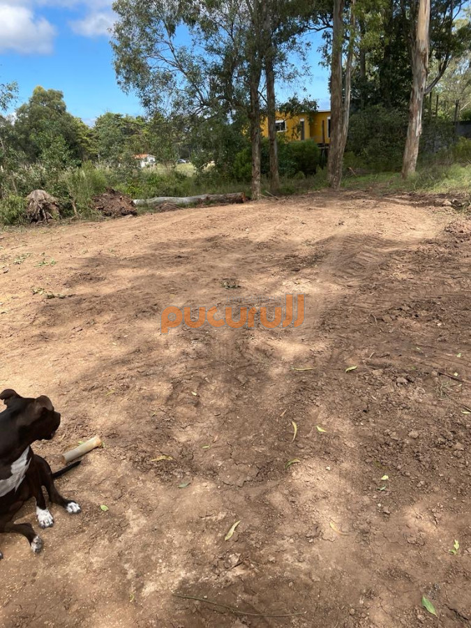 Los Aromos - GoPunta - Portal Inmobiliario de Punta del Este - Maldonado