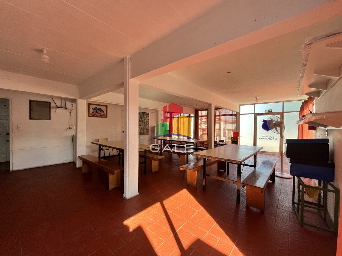 Maldonado - GoPunta - Portal Inmobiliario de Punta del Este - Maldonado