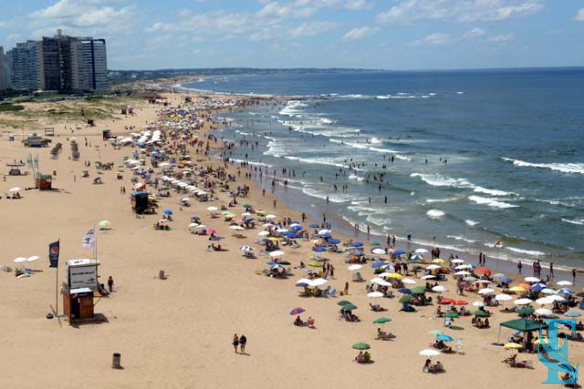 Península - GoPunta - Portal Inmobiliario de Punta del Este - Maldonado