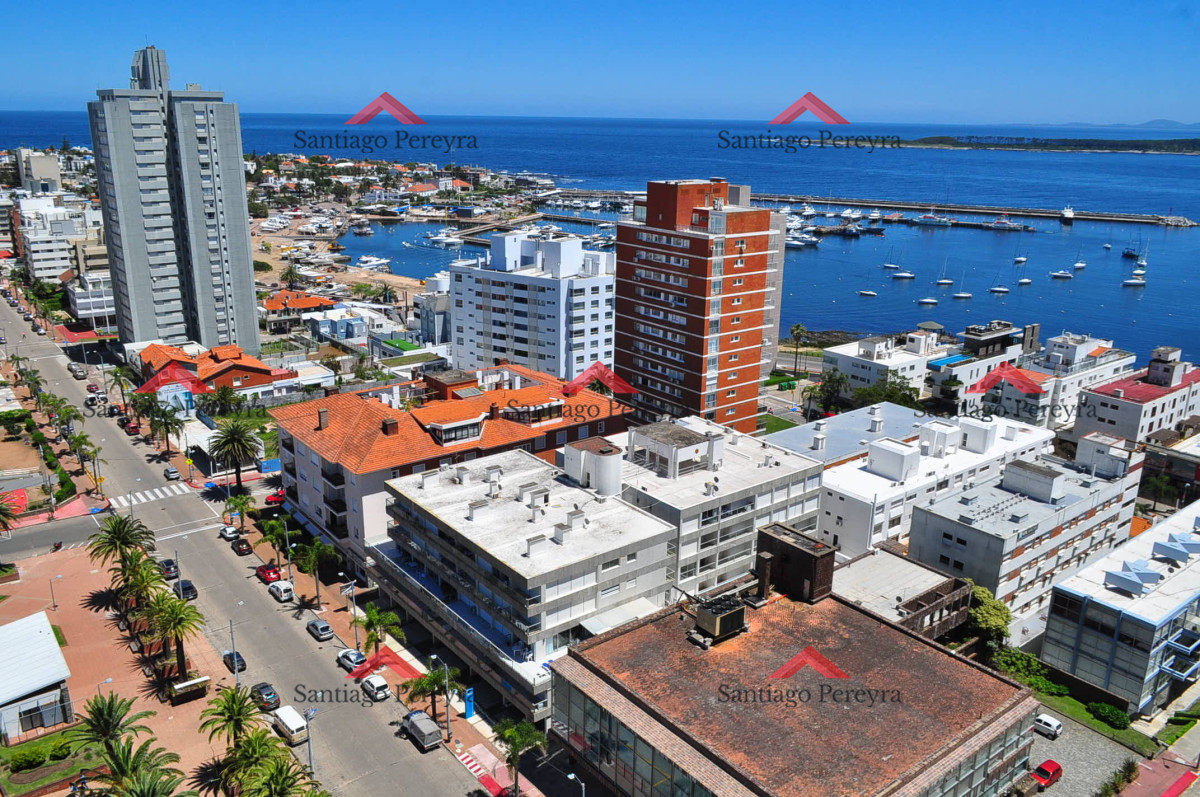 Apartamento ID.16556 - PENINSULA EXCELENTE VISTA!! 1 DORMITORIO Y MEDIO