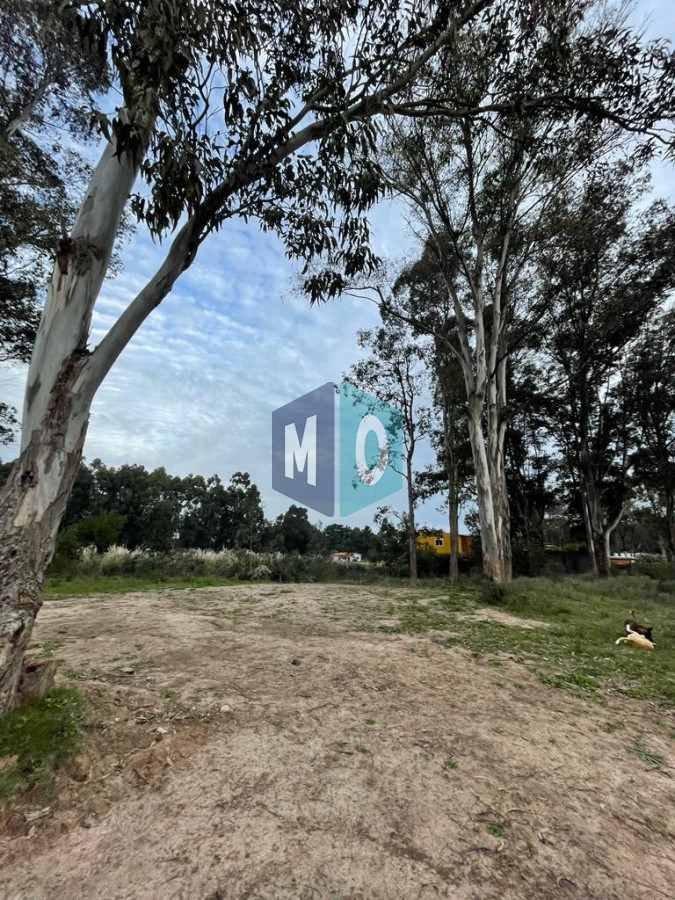 Terreno ID.1073 - OPORTUNIDAD EN BARRIO LOS ARAMOS