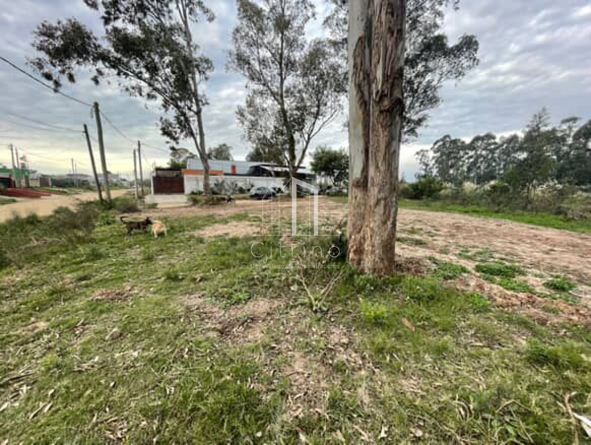 Terreno ID.1863 - Terreno en venta - Miradores de Lussich