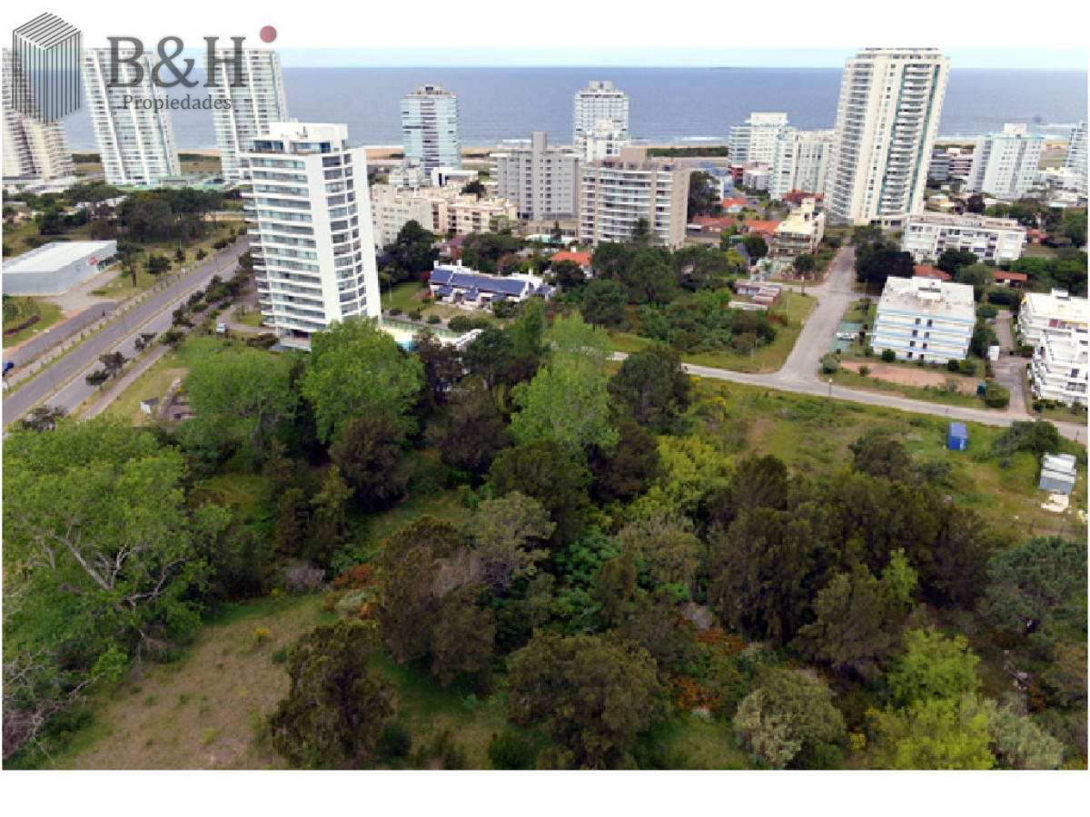 Apartamento ID.8164 - Oportunidad Única   APARTAMENTO ALQUILER TEMPORADA PUNTA DEL ESTE