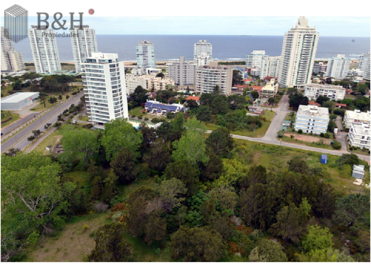 Apartamento ID.8164 - Oportunidad Única   APARTAMENTO ALQUILER TEMPORADA PUNTA DEL ESTE
