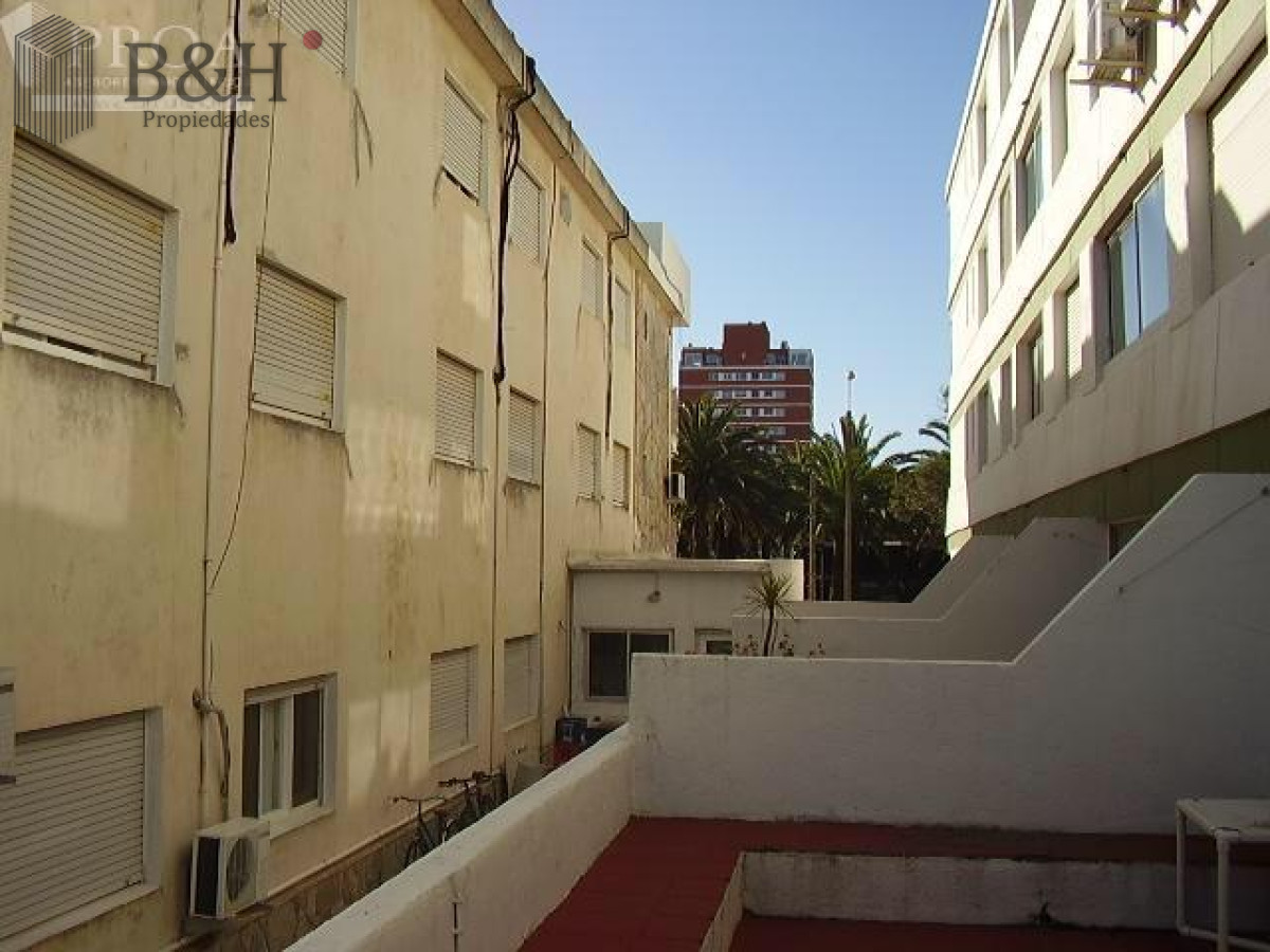Península - GoPunta - Portal Inmobiliario de Punta del Este - Maldonado
