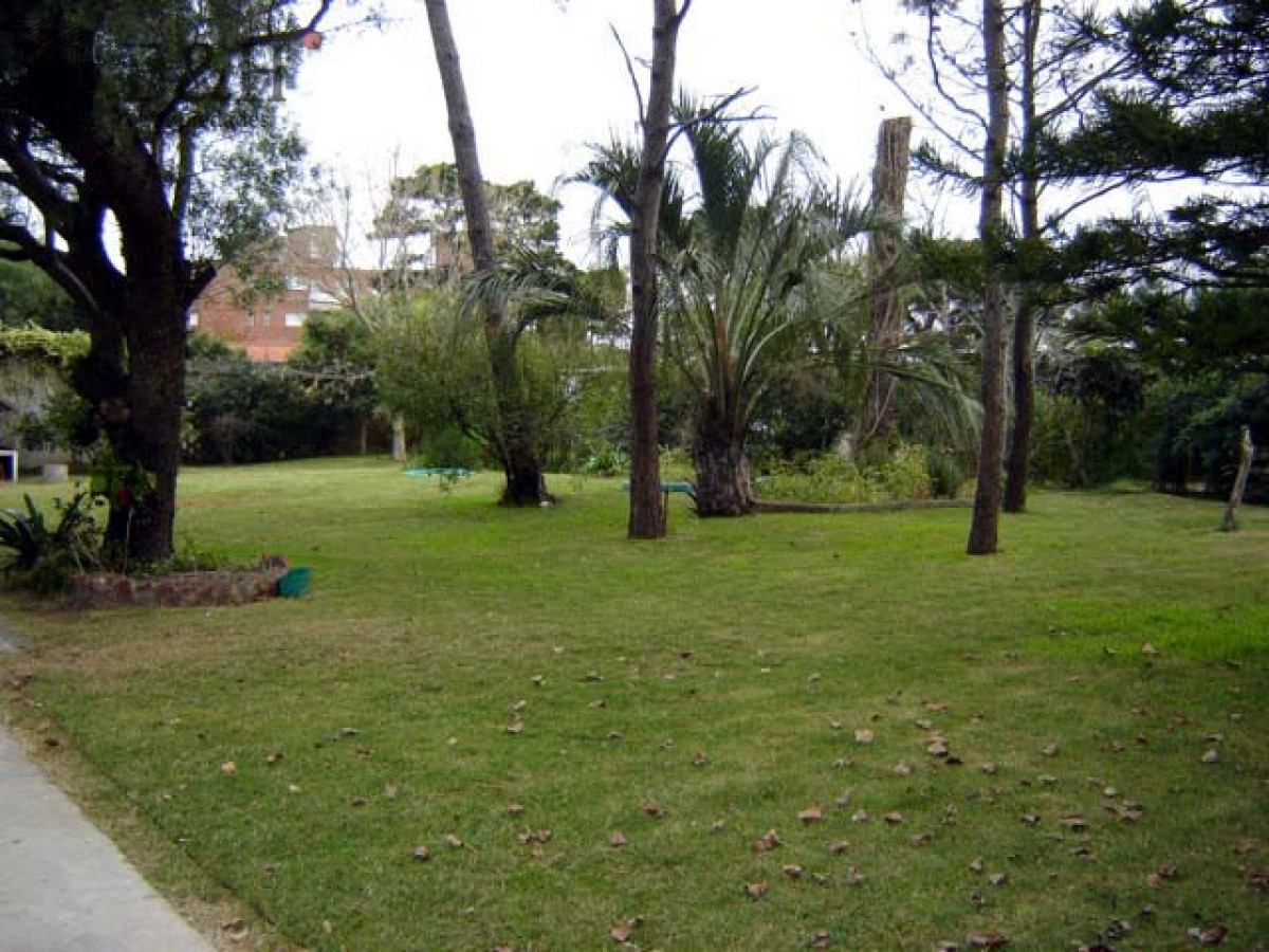 Aidy Grill - GoPunta - Portal Inmobiliario de Punta del Este - Maldonado