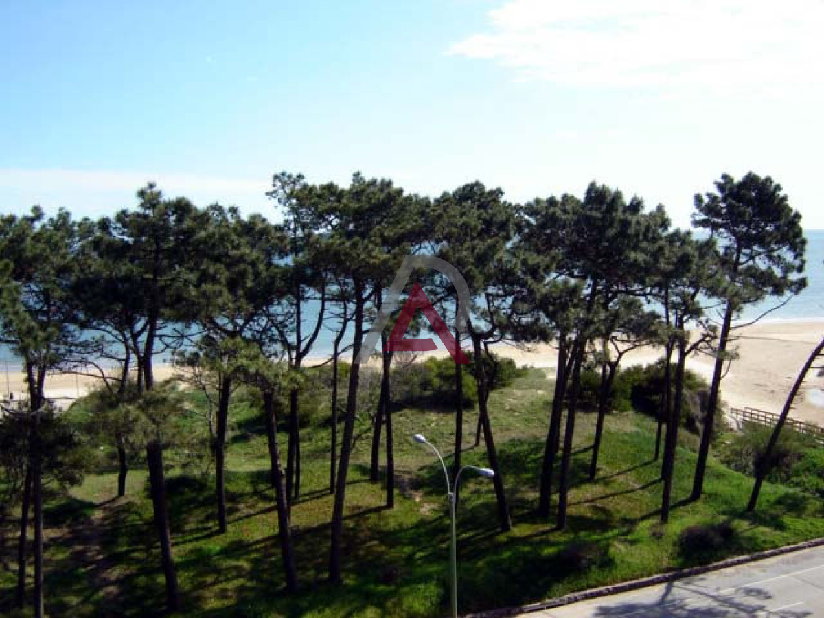 Apartamento ID.299 - VENTA APARTAMENTO EN MANSA- 3 Dorm. PDE - ALQUILER Temporada