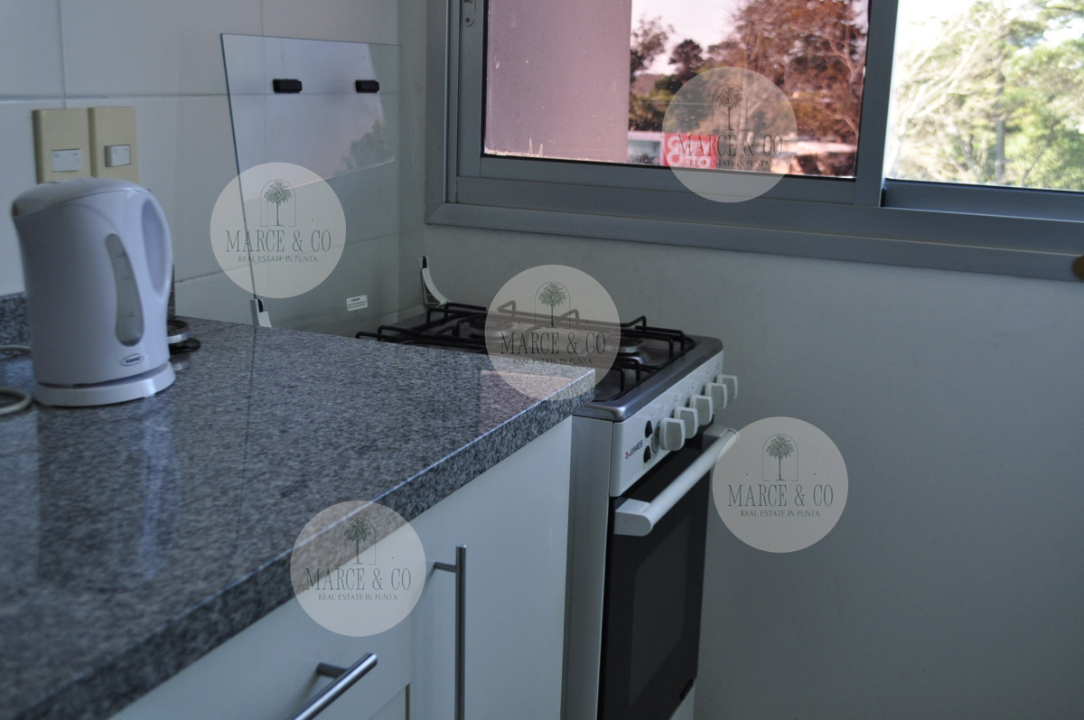 Apartamento ID.295 - 2 dormitorios , con piscina, gym ...