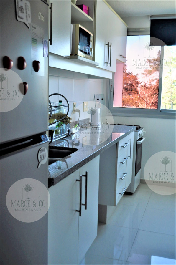 Apartamento ID.295 - 2 dormitorios , con piscina, gym ...