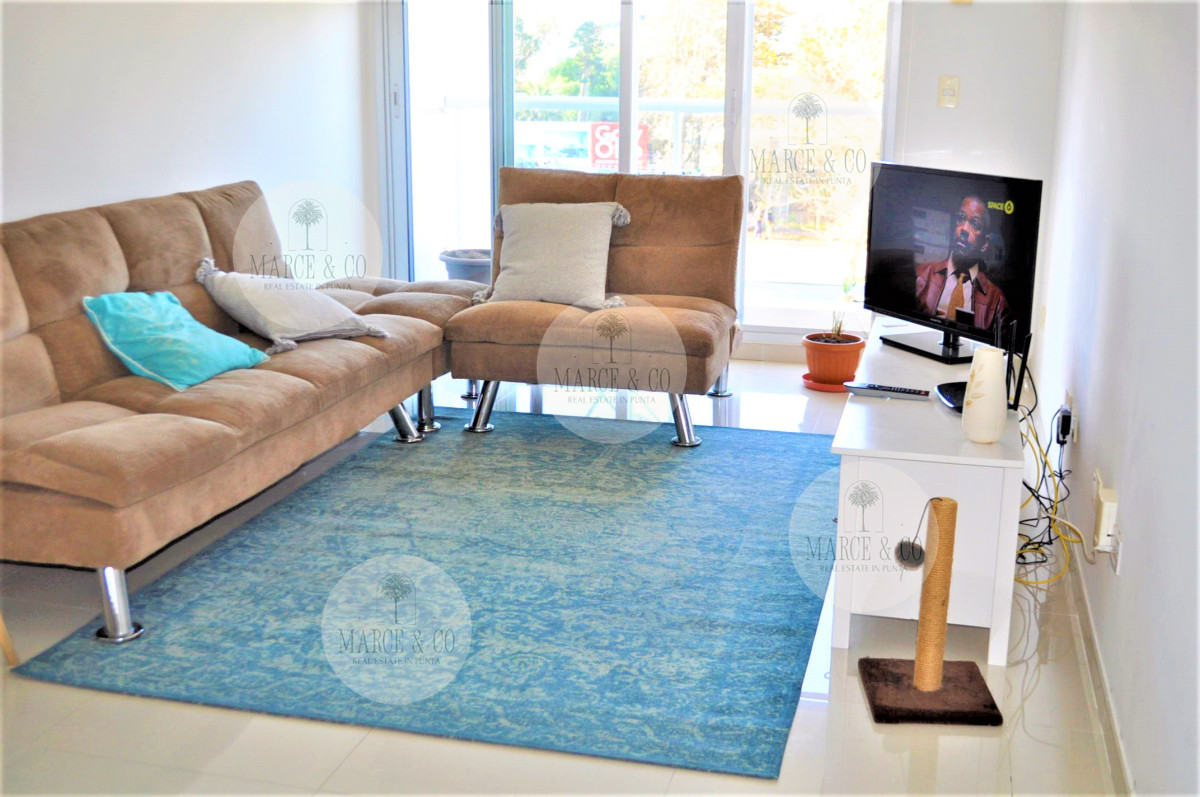 Apartamento ID.295 - 2 dormitorios , con piscina, gym ...