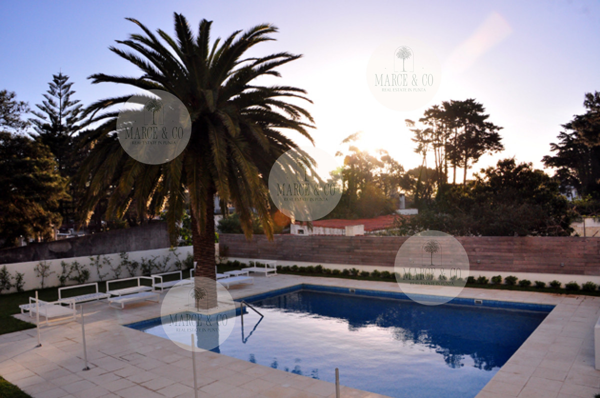 Apartamento ID.295 - 2 dormitorios , con piscina, gym ...