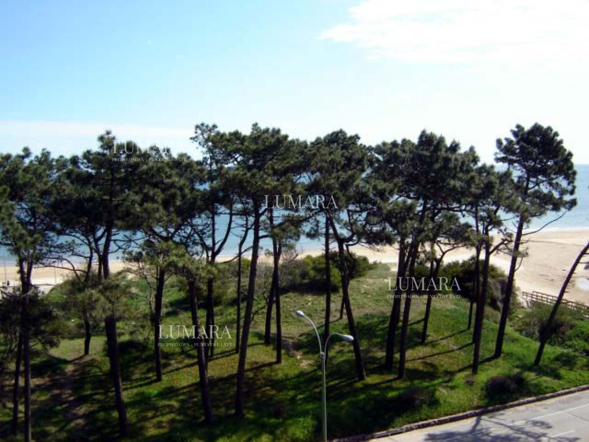 Apartamento ID.2334 - Playa mansa amplia terraza 