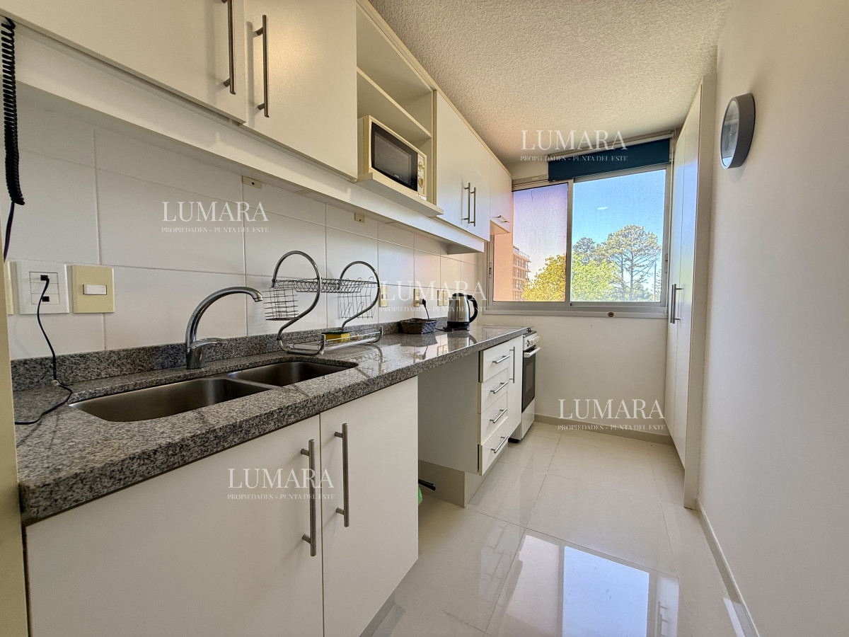 Apartamento ID.295 - 2 dormitorios , con piscina, gym ...