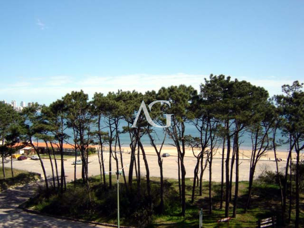 Apartamento ID.196 - Playa mansa amplia terraza 