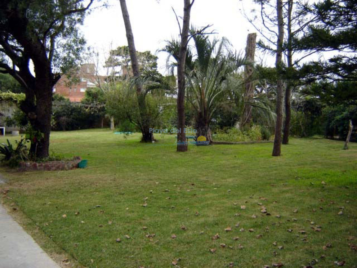 EN AIDY GRlLL TIERRA APTA PARA ALTURA - Inmobiliaria Playa del Este