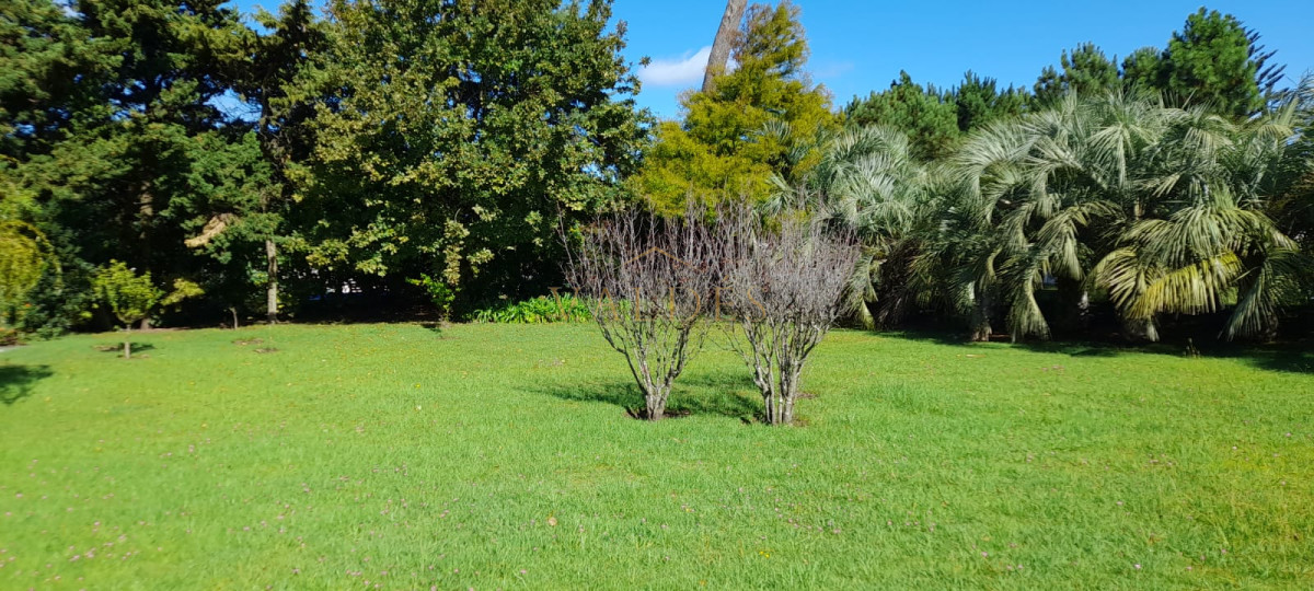 Casa ID.3335 - Casa en venta 