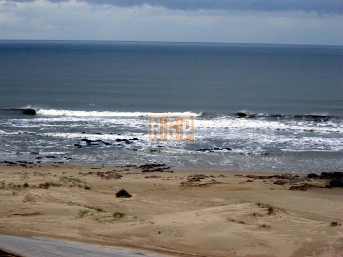 DIVINO IMPECABLE CON SERVICIOS - NGP1559A