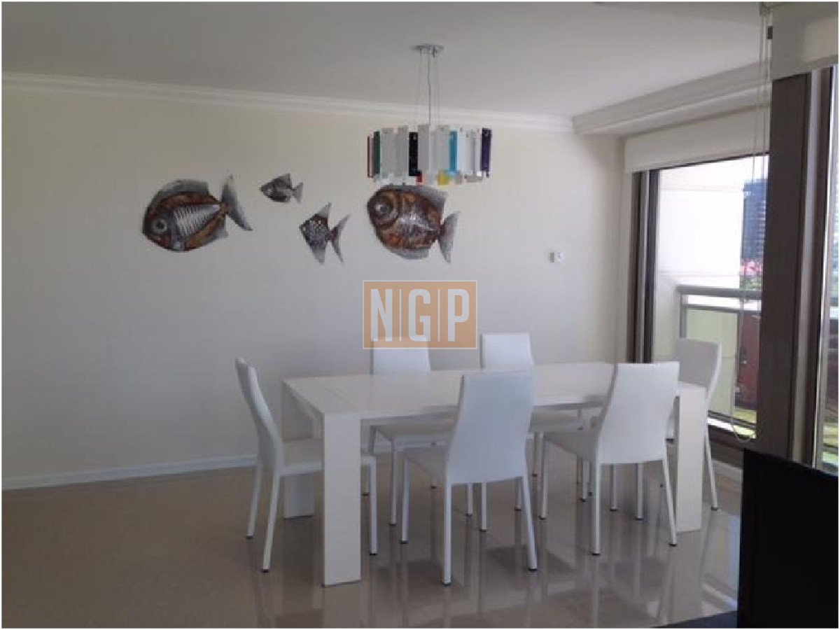 disponible desde 15 de enero al 24 de enero - NGP8119A