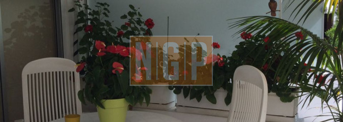 Impecable dpto. de 2 dorm., 1 baño, Living comedor