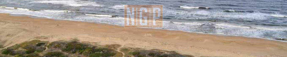 Apartamento en Punta del Este, Brava