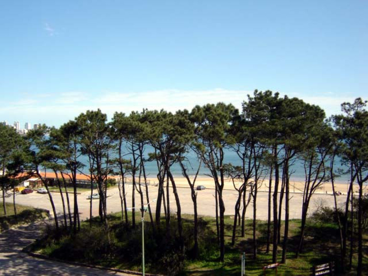 Playa mansa amplia terraza 