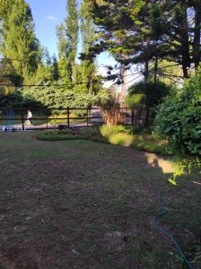 preciosa cabaÑa en san rafael - ngp27575c