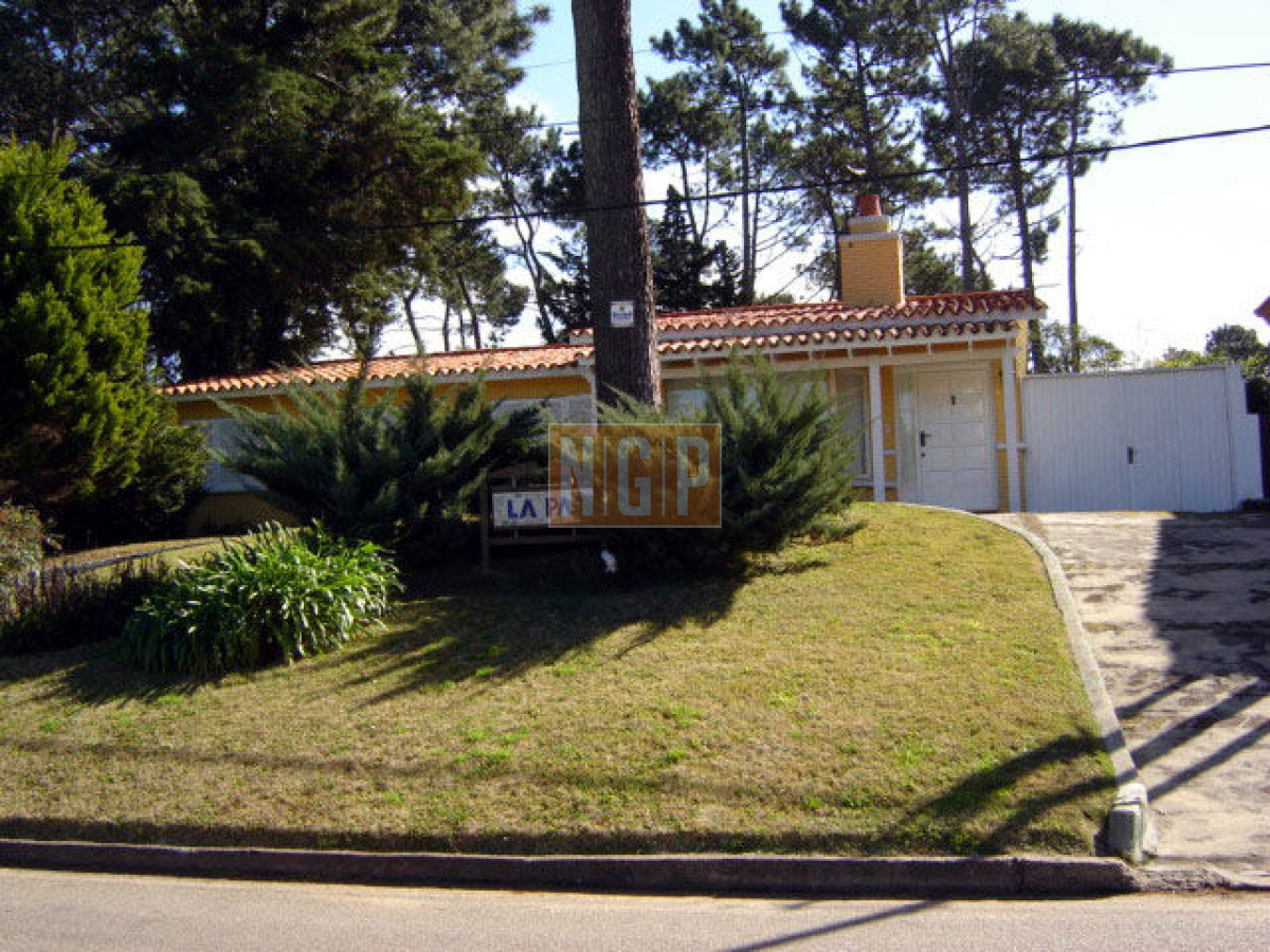 PARADAS DE LA MANSA.  - NGP19413C