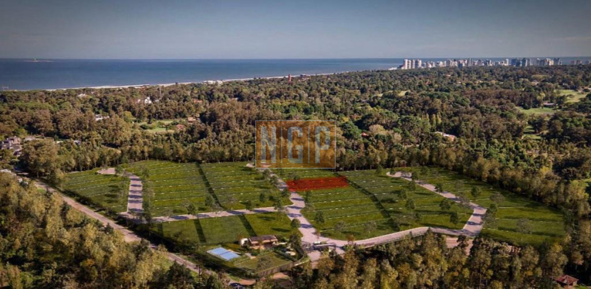 Terreno en venta La Chacra Rincón del Indio  - NGP31424T