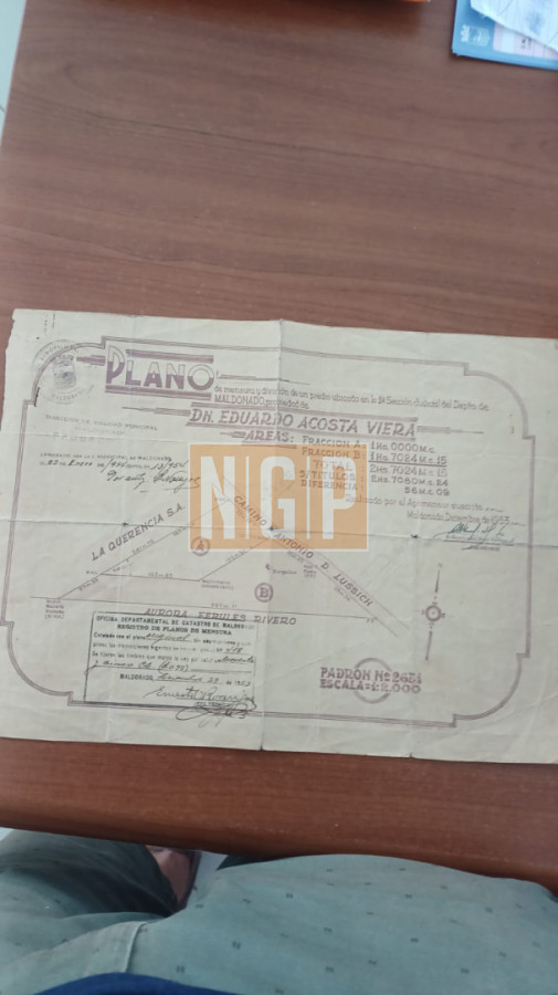 TERRENO EN AV LUSSICH  - NGP31675T