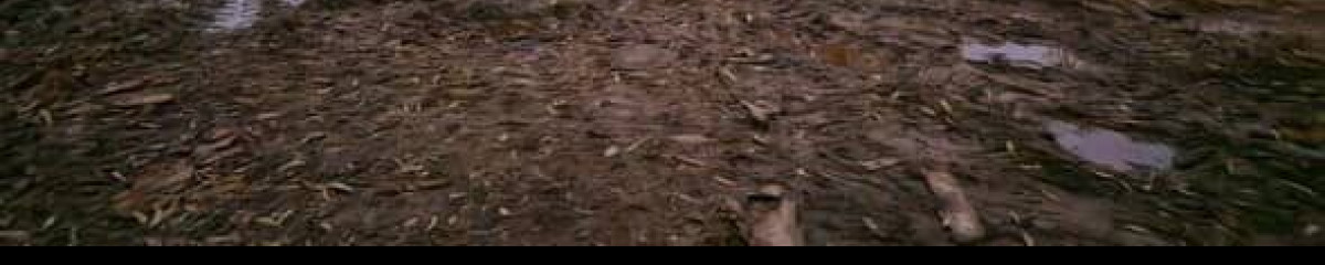 Terreno en venta - Miradores de Lussich