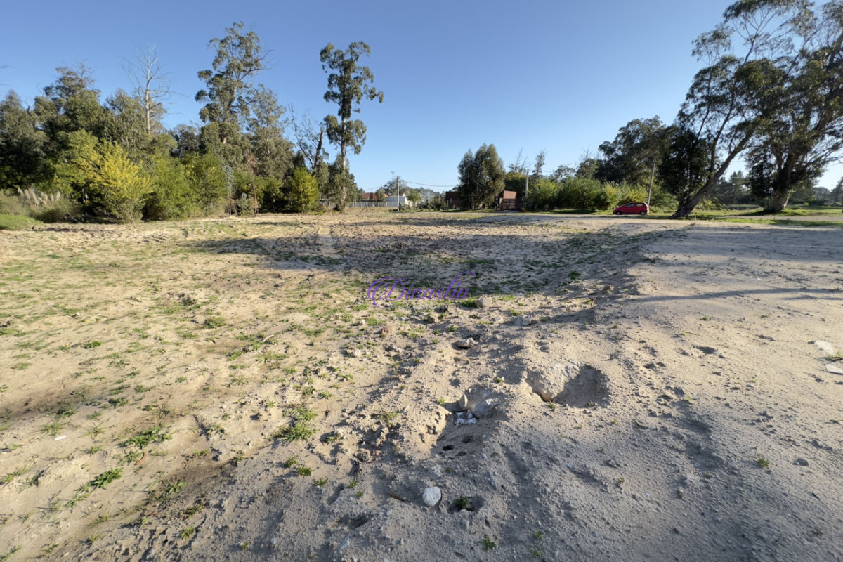 Terreno ID.260 - Venta de Terreno en Marly, Punta de Este