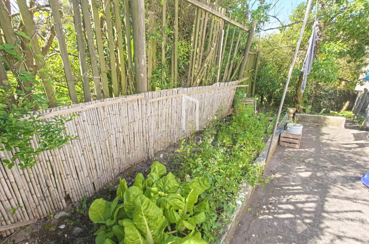 Casa ID.268 - Casa de 2 dormitorios en alquiler a metros del mar en El Chorro