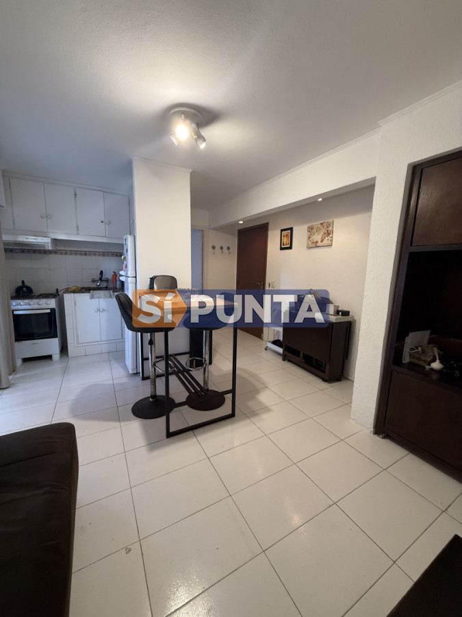 Apartamento 1 dormitorios con parillero y garage punta del este - SPT14162A