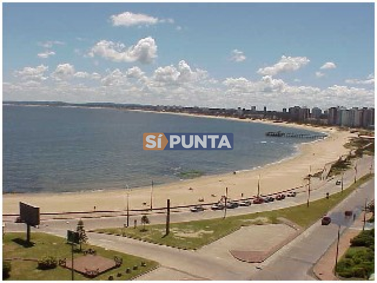 Apartamento en alquiler anual Playa Mansa - SPT223A