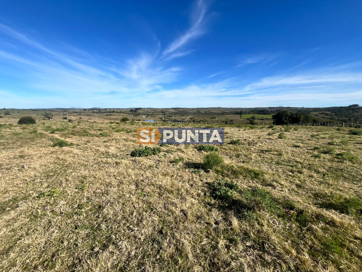 chacras de 5 hectáreas con vista a ambas sierras  - SPT12565H