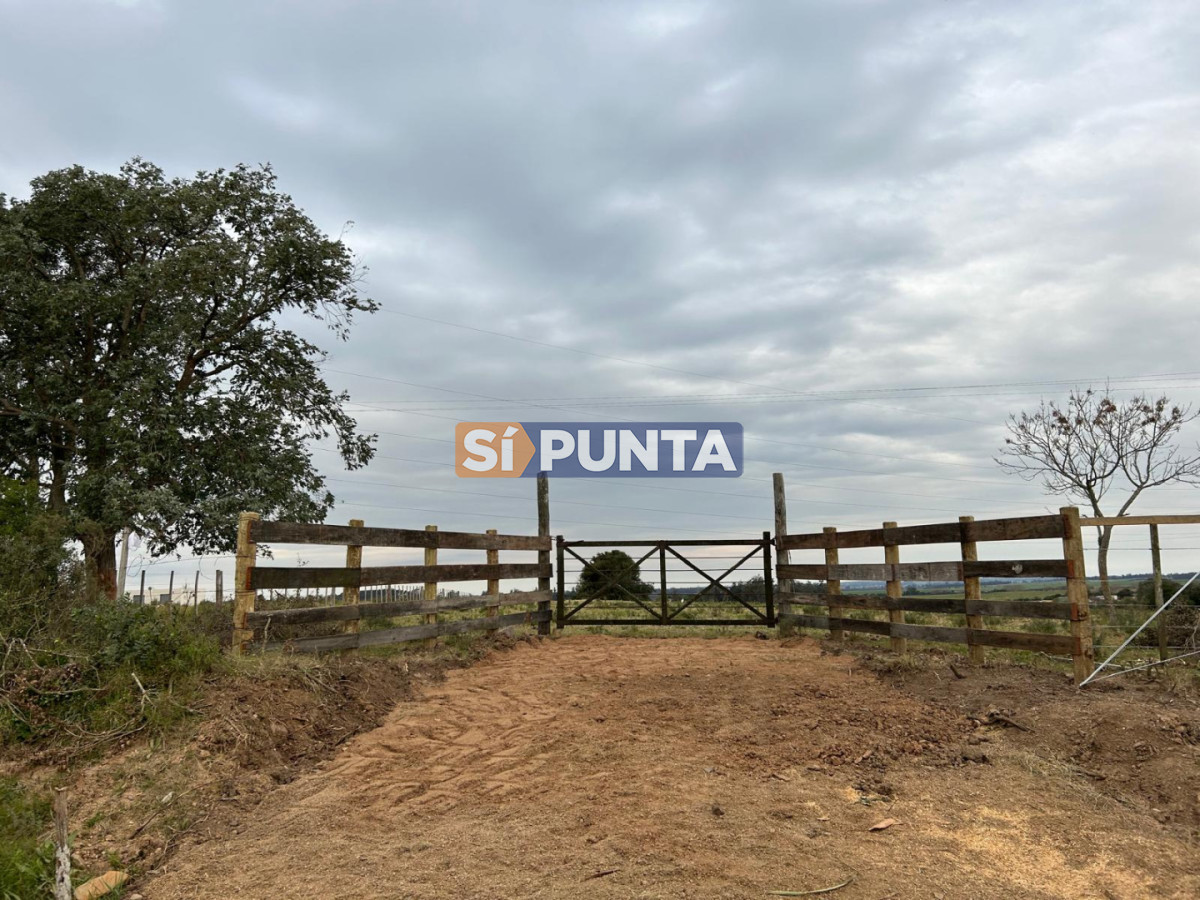 Chacra en venta  - SPT13676H