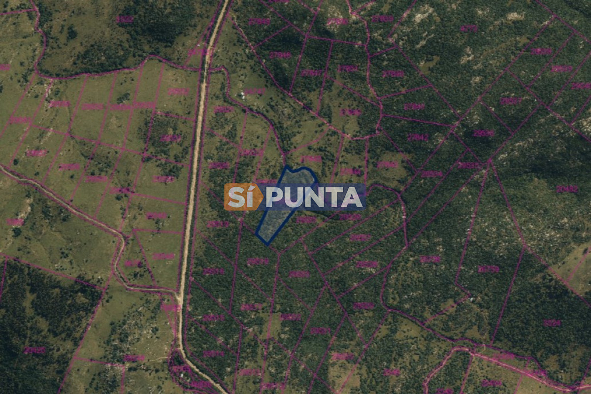 Chacra en venta, 5 hectáreas - SPT9594H