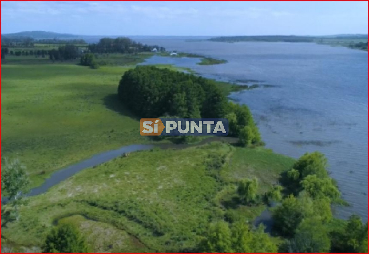 Chacra ID.4202 - Chacra en venta