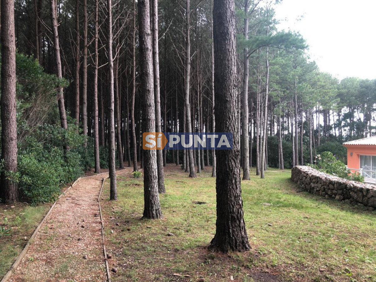 Chacra ID.5939 - Chacra en venta en Laguna del Diario 