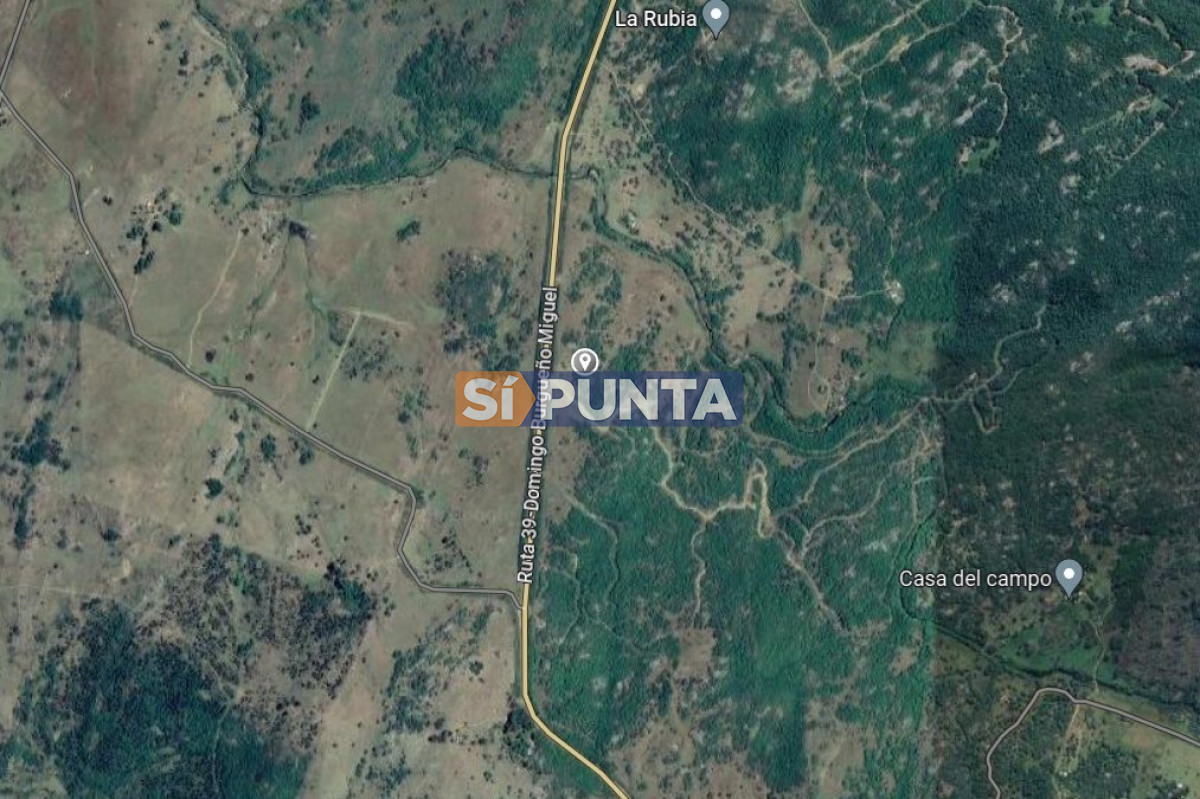 Chacra en venta, 5 hectáreas  - SPT9593H