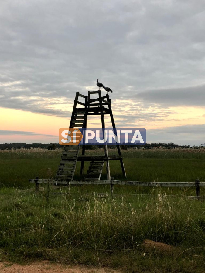 Chacra ID.5939 - Chacra en venta en Laguna del Diario 