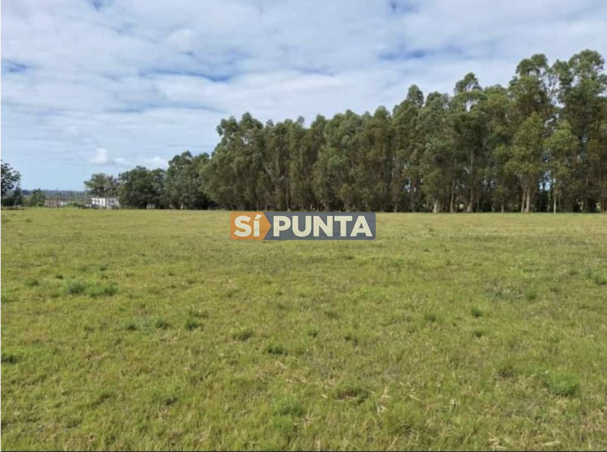 Chacra en Camino Los Ceibos - SPT12597H