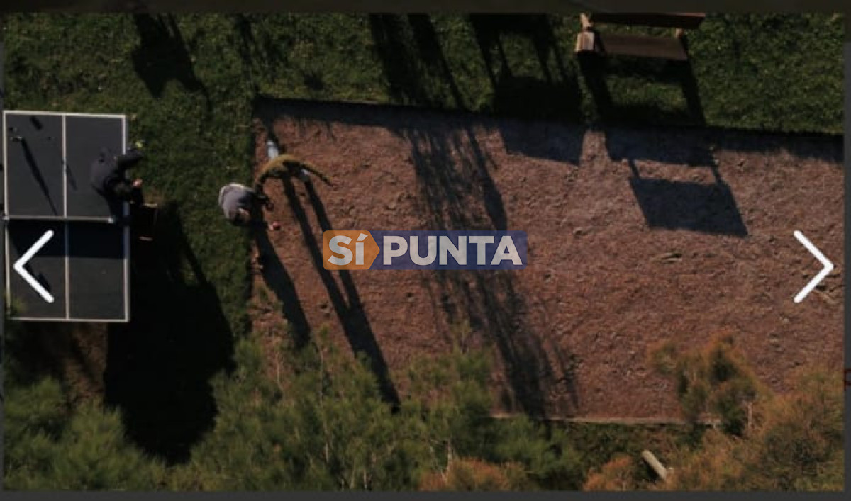 Chacra ID.13681 - Chacra en venta 5 dormitorios Jose Ignacio