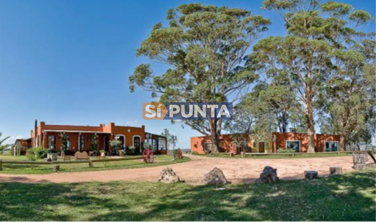 Estancia de 30has en venta sobre Ruta 9  - SPT14924H