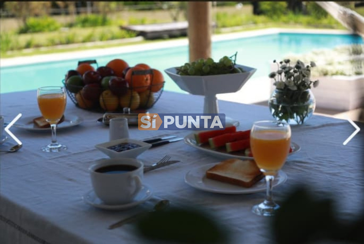 Chacra ID.13681 - Chacra en venta 5 dormitorios Jose Ignacio