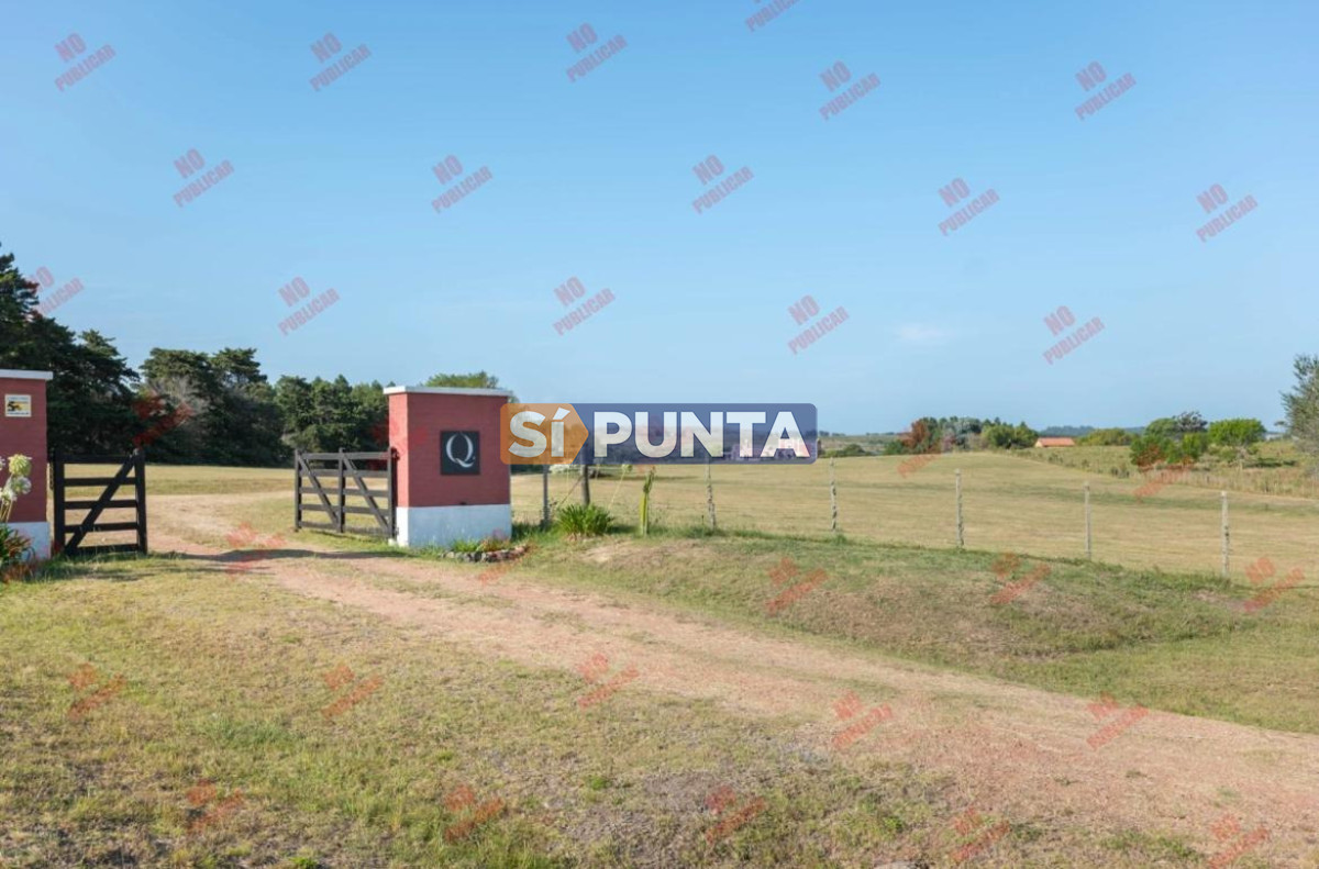 Chacra ID.13519 - Chacra en venta Lomas del Suce