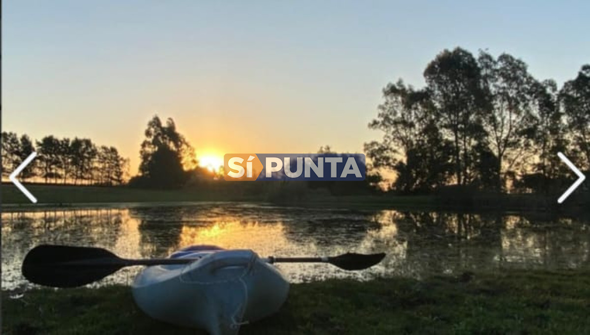 Chacra ID.13681 - Chacra en venta 5 dormitorios Jose Ignacio