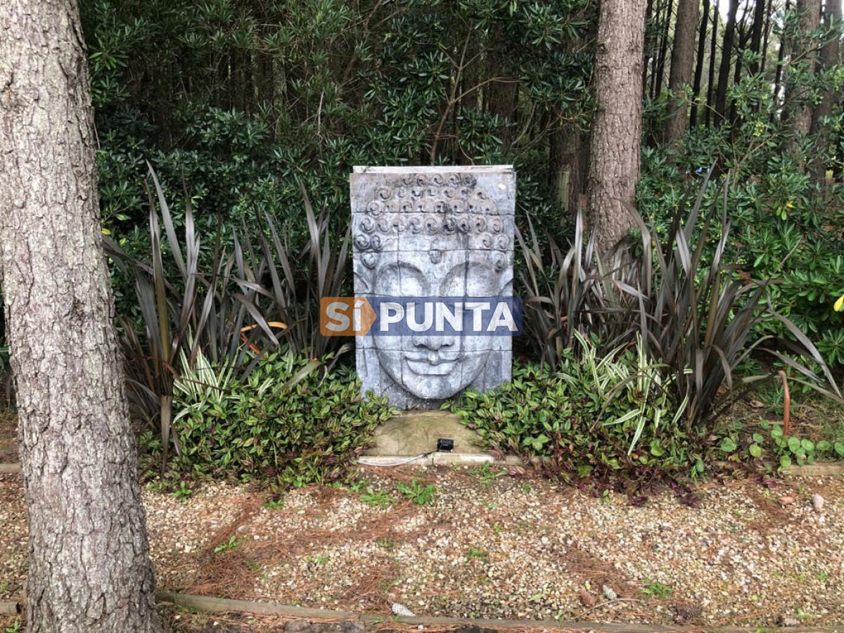 Chacra ID.5939 - Chacra en venta en Laguna del Diario 