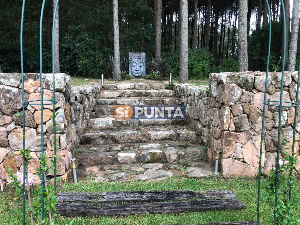 Chacra ID.5939 - Chacra en venta en Laguna del Diario 