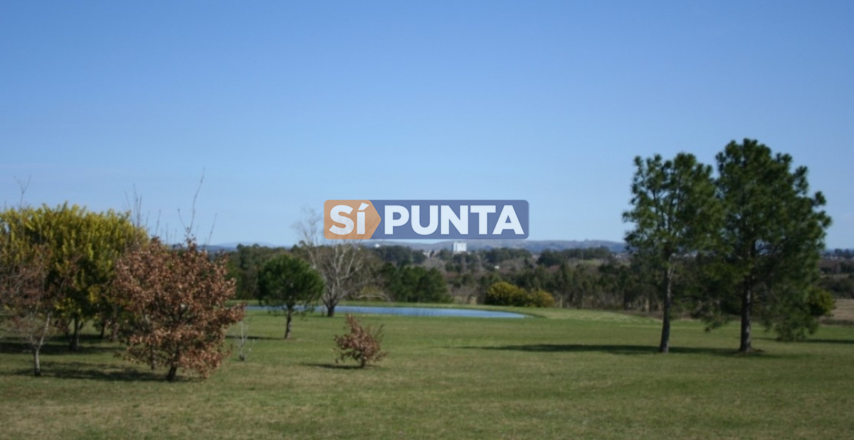 Chacra ID.7063 - Chacra en venta - Camino Cerro Eguzquiza